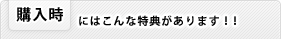 購入時特典