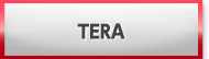 TERA(テラ) 販売 買取 RMT